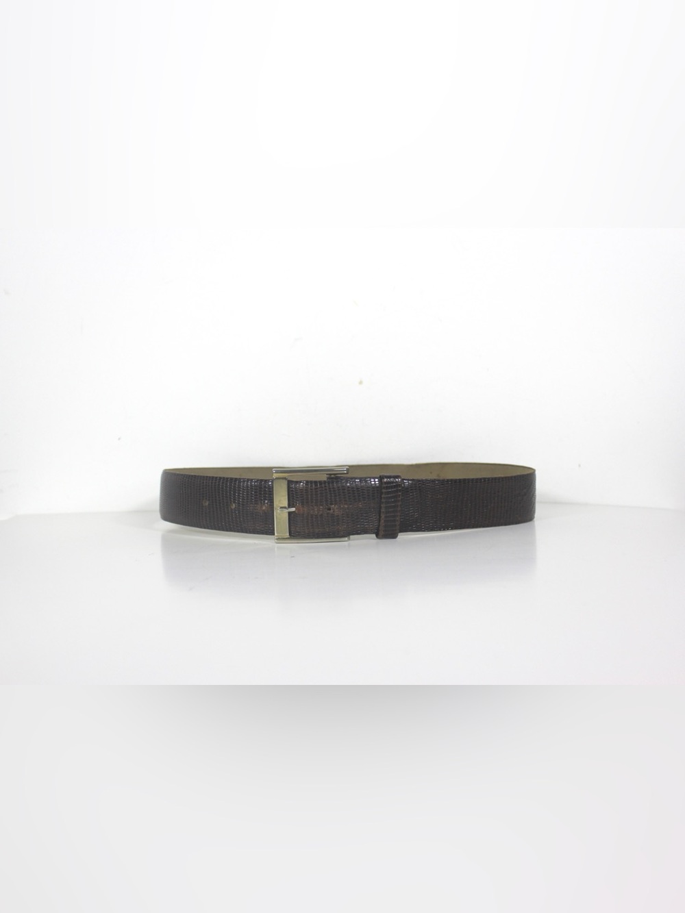 Vintage Distressed Wide Brown Snake Embossed Leather Belt with Removable Buckle